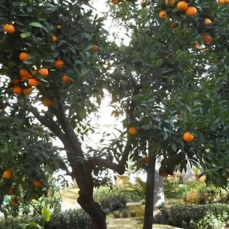 B&B L'Orangerie D'Epoque-2