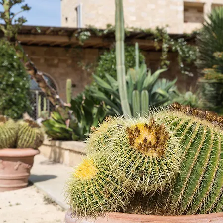 Masseria Saietti-3