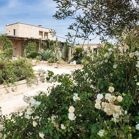 Masseria Saietti-2