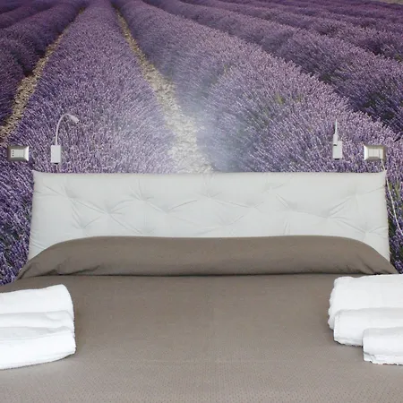 Hotel Royal - Beauty & Spa-2