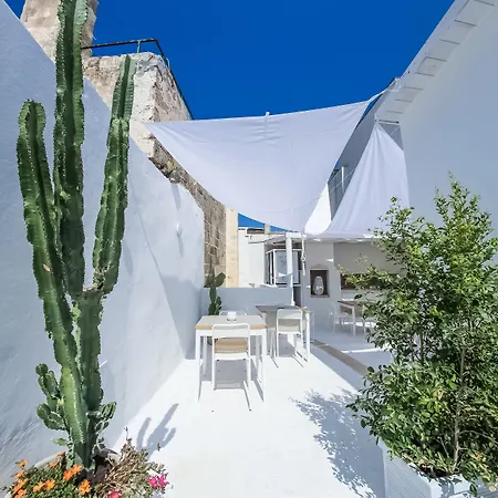 Clara Domus-2