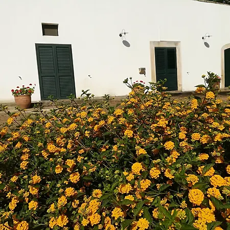 Masseria Fracchicchi-2
