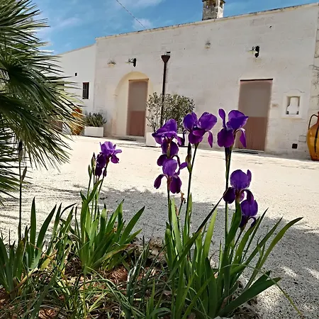 B&B Demetra-3