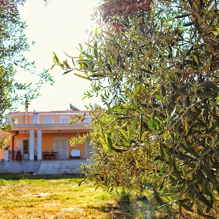 B&B Villa Maria Di Venere-2