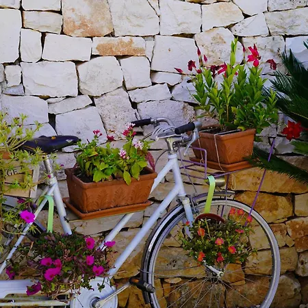 Trulli Pastore-3