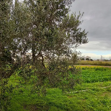 B&B Da Gino-2