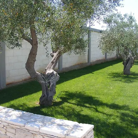 B&B Freezone-2