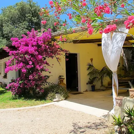 Alba Bed & Breakfast-2