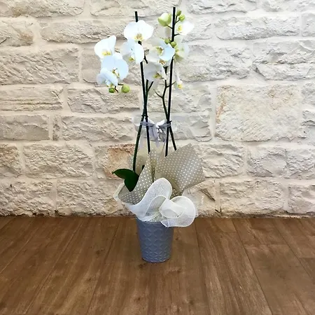 B&B Sant'Agostino-3