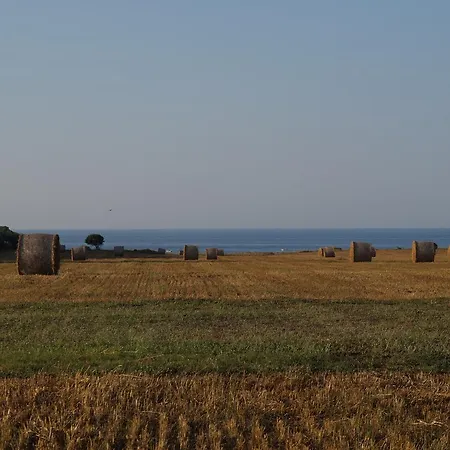 Masseria Di Benedetto-3