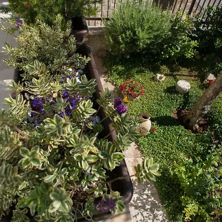 Grandi Trulli Bed & Breakfast-3