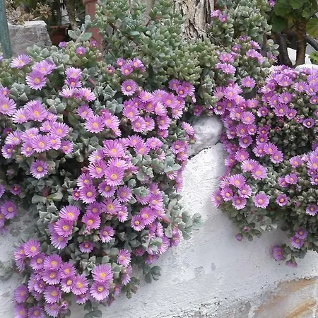 Borgo Antico-3