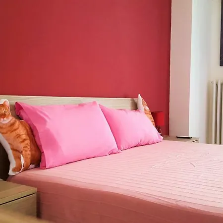 Cat'S Room-2