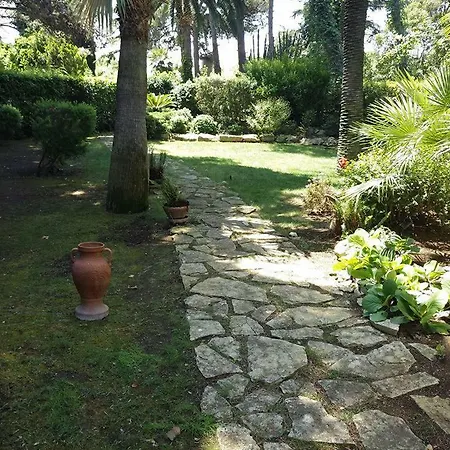 Natural Home-3