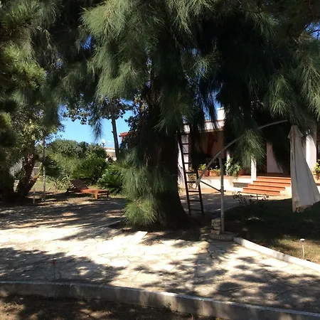 Taverna Grika-2