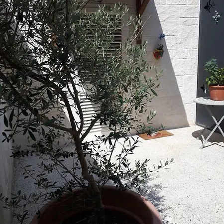 A casa di Rio-3