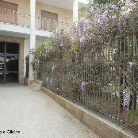 Oleandro E Glicine-2