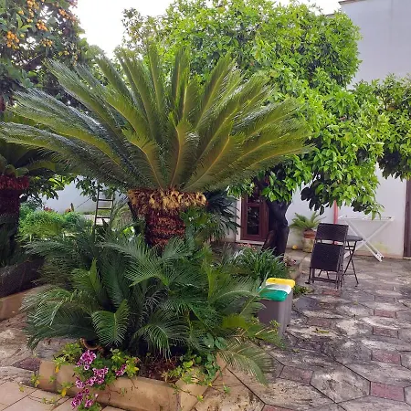 Citrus Garden-3