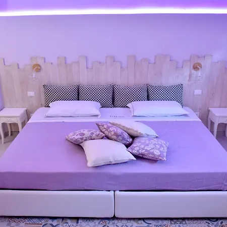 D.Home-2