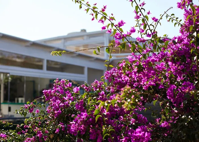 Villa Dapper Polignano a Mare