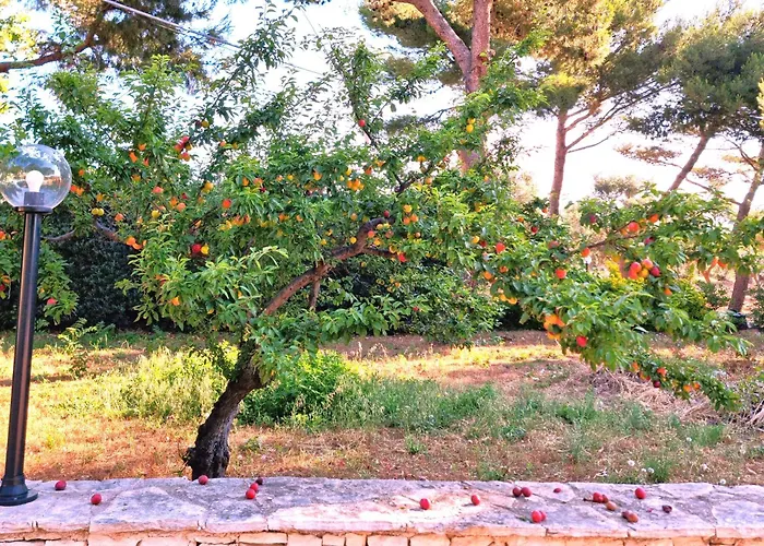 Villa Costanza Bari