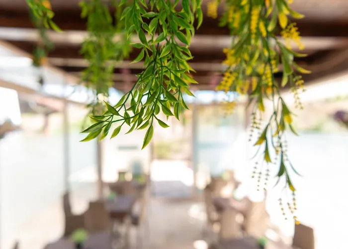 3 Sterne-Hotel-B&B Tenuta Barone Gallipoli