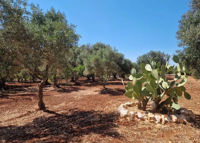 Boutique Villa Trullo Terra Di Alix à Ostuni