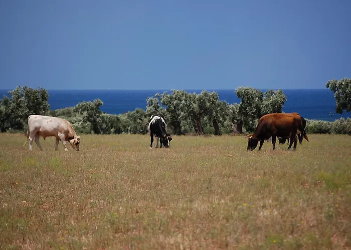 Masseria Palombara Grande Ostuni